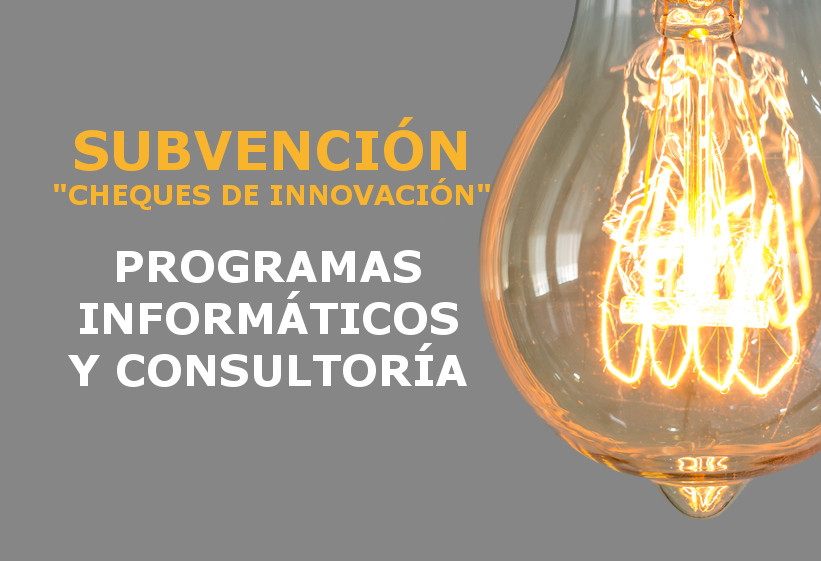 subvención programas informáticos y consultoria