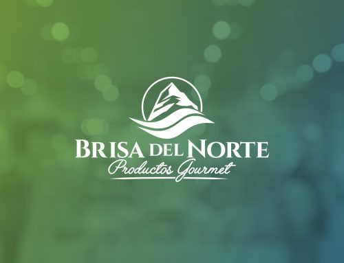 Desarrollo de diseño a medida para Brisa del Norte