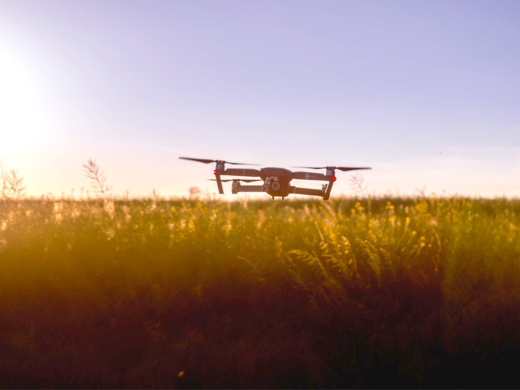 inteligencia artificial y agricultura