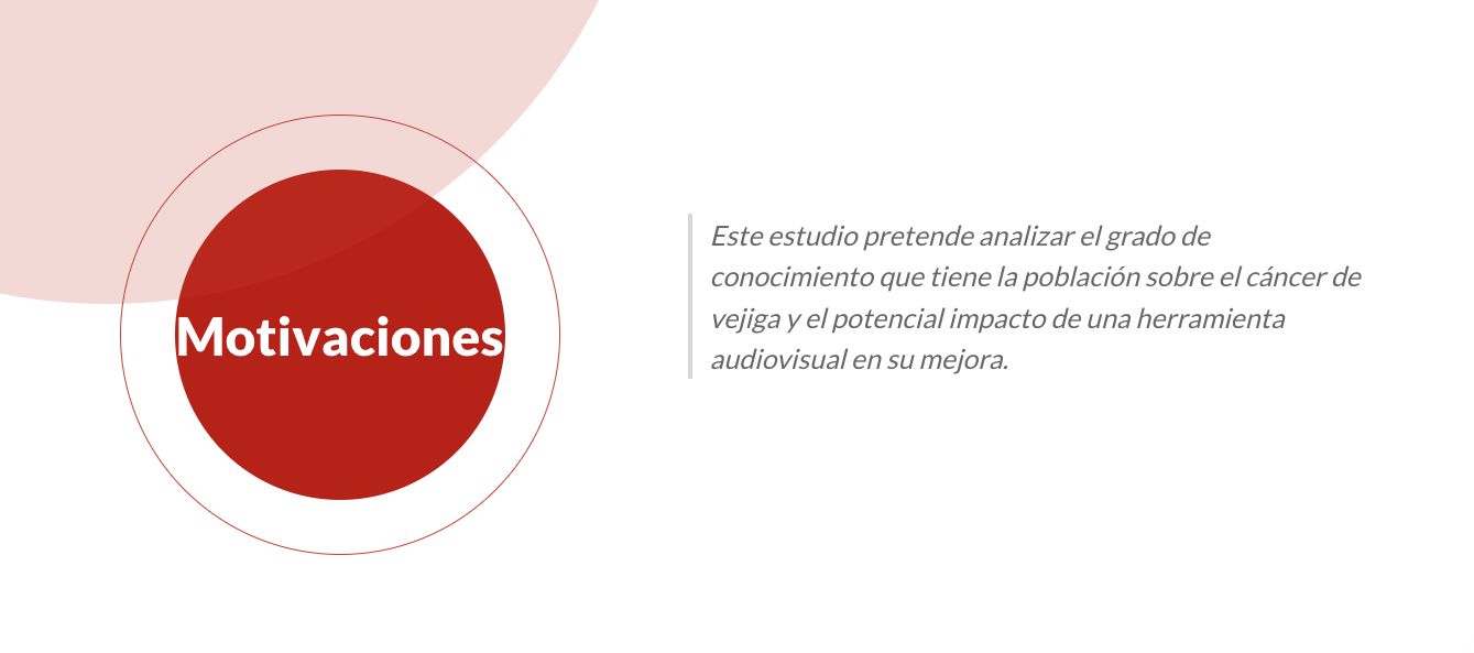 Desarrollo de software a medida gestión información vefor-1