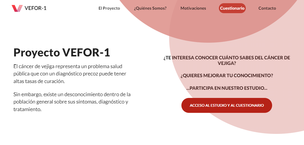 Desarrollo de software a medida gestión información vefor-1
